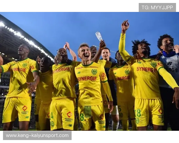 法甲精彩，球迷反应热烈，赛后分析引关注，法甲足球比赛