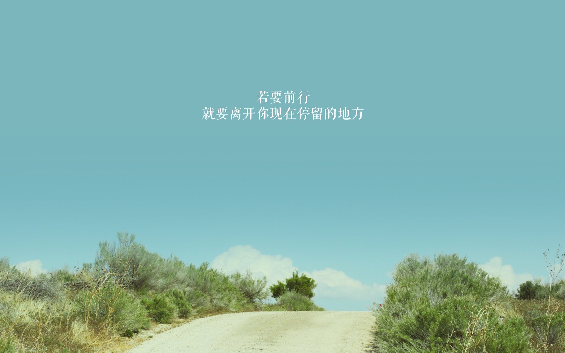 切拉苏奥洛50蛙决赛抢眼表现获赞，切拉瓦洛