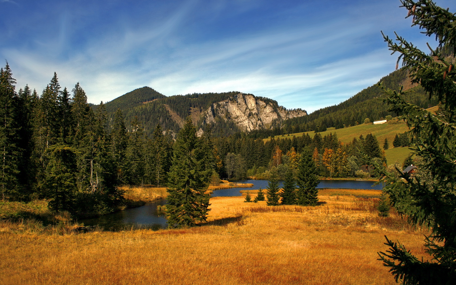 开云体育在线入口-广东女篮挖掘年轻潜力股加速更新换代，广东女篮厉害吗