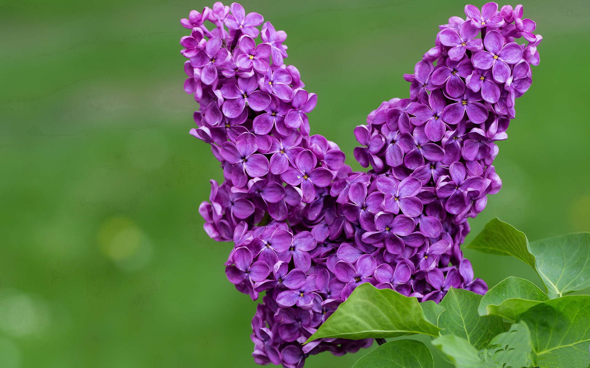 男子国家队设立多岗位轮训制度开发球员潜能