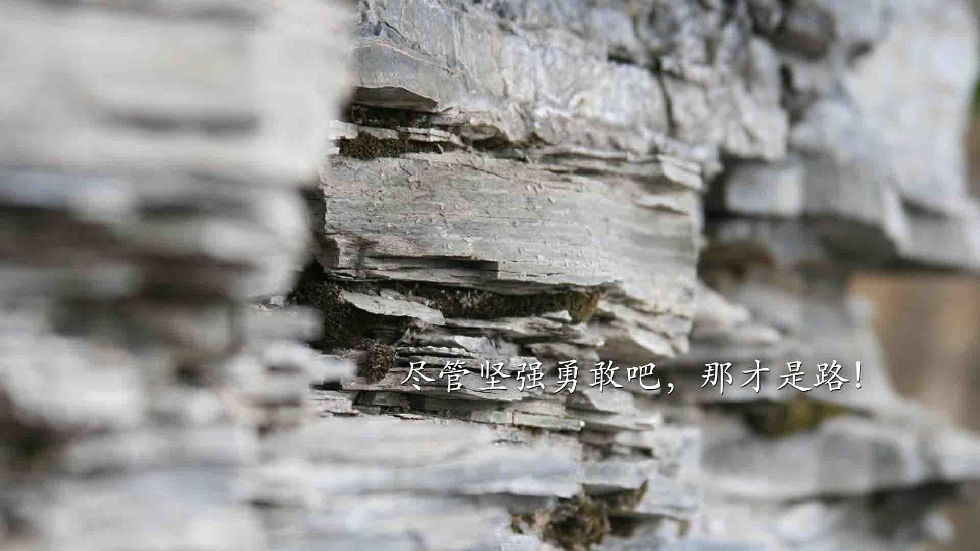 皮特·卡普尔凭借强大的身体素质和精湛的球技,成为袋鼠队的重要球员