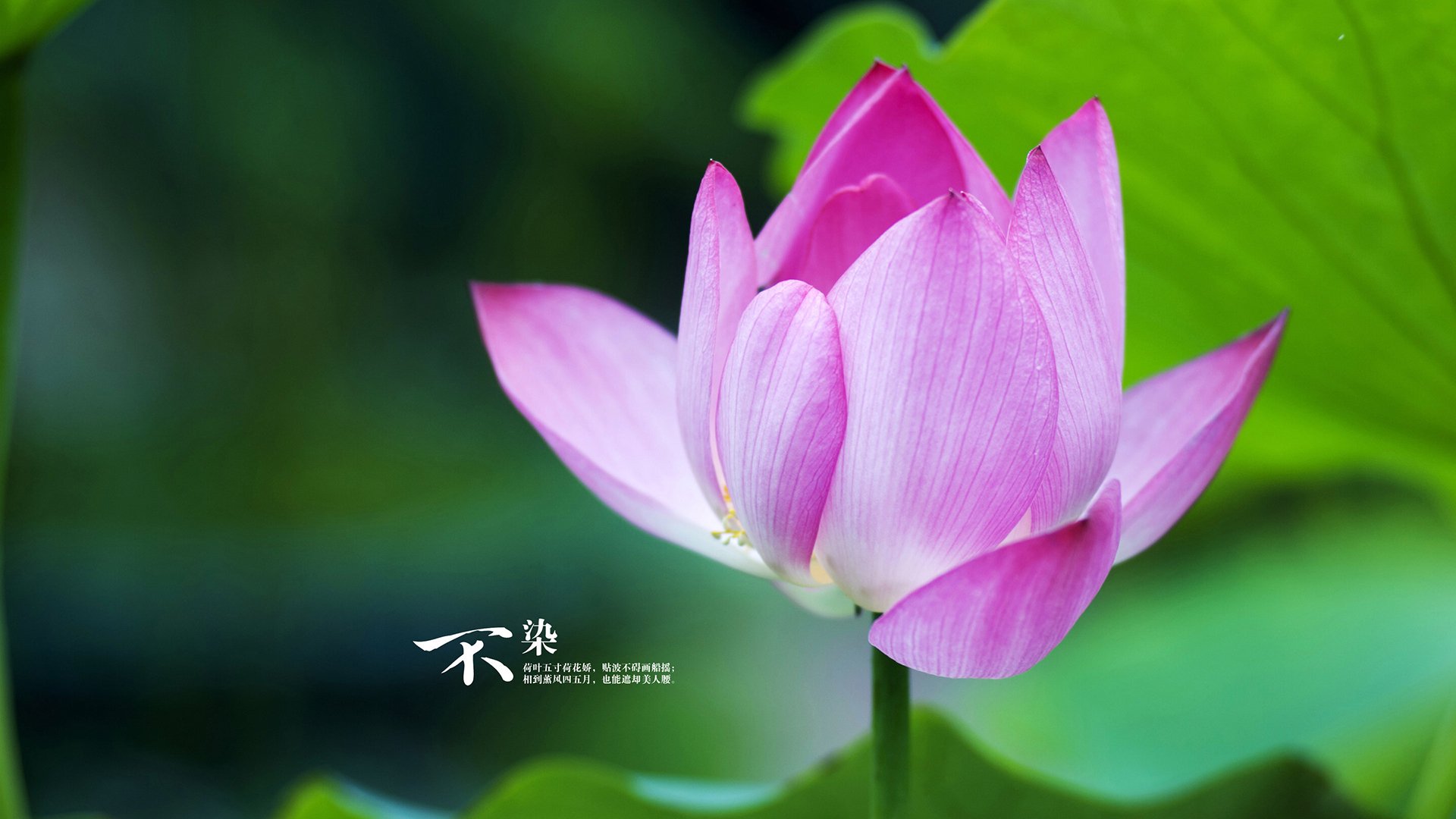 开云体育足球-虽然队伍规模小，但质量稳定不凡，虽然队伍规模小,但质量稳定不凡的句子