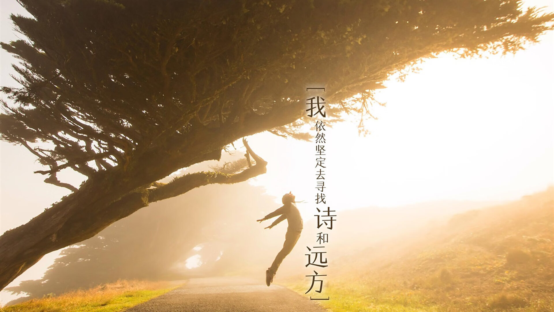 蝶泳赛事吉尔吉斯斯坦发挥稳定，吉尔吉斯斯坦游泳运动员