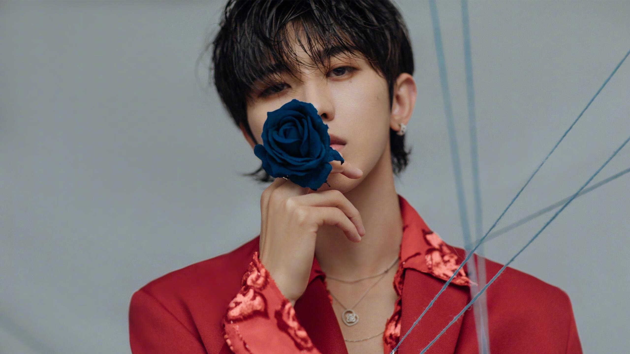 阿根廷女篮在南美锦标赛中夺冠，续写国家篮球辉煌，阿根廷南美预选赛赛程